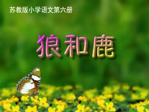 苏教版三年级下册语文《狼和鹿》精品 课件 