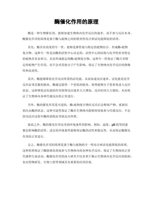 酶催化作用的原理