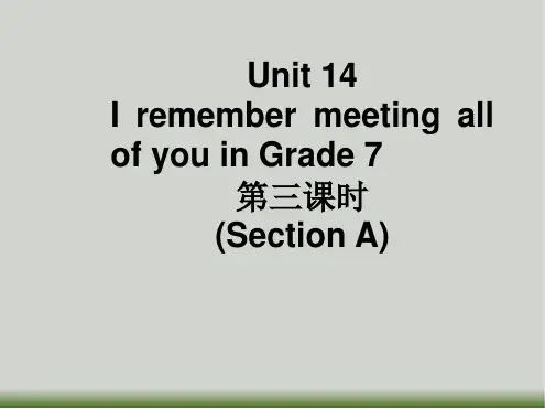 人教版九年级下册英语unit14第3课时课件1共20张