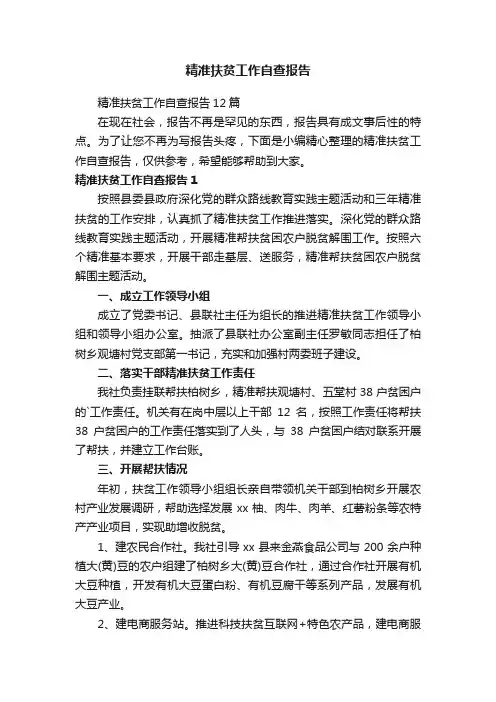 精准扶贫工作自查报告