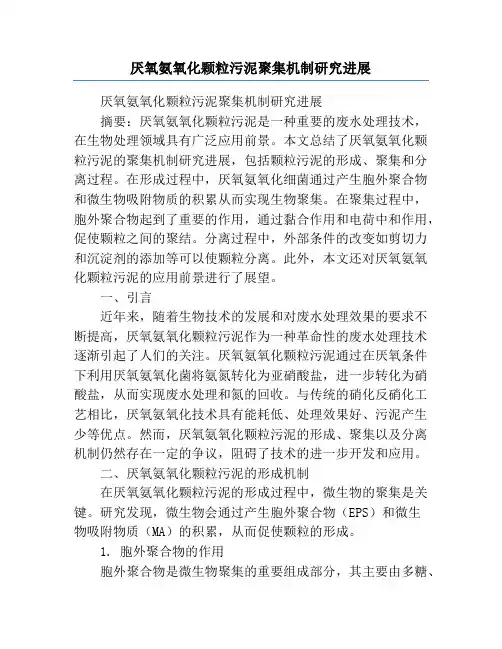 厌氧氨氧化颗粒污泥聚集机制研究进展