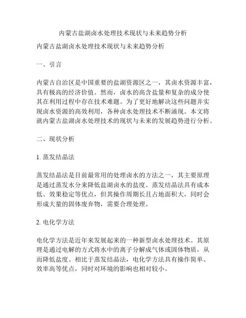 内蒙古盐湖卤水处理技术现状与未来趋势分析