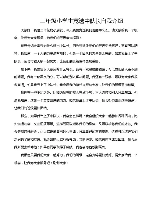 二年级小学生竞选中队长自我介绍