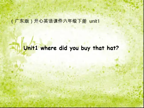 广东开心版小学英语六年级下册课件 6B unit1