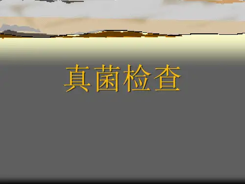 皮肤真菌检测
