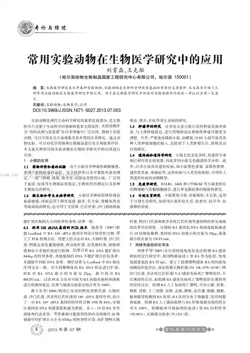 常用实验动物在生物医学研究中的应用