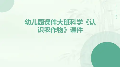幼儿园课件大班科学《认识农作物》课件