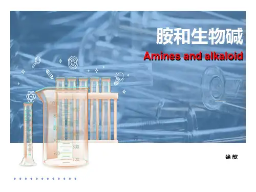 有机化学 胺和生物碱