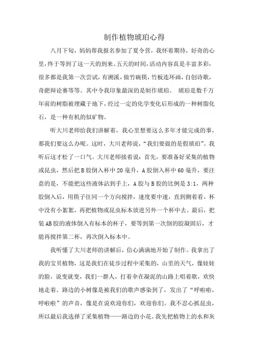 制作植物琥珀心得