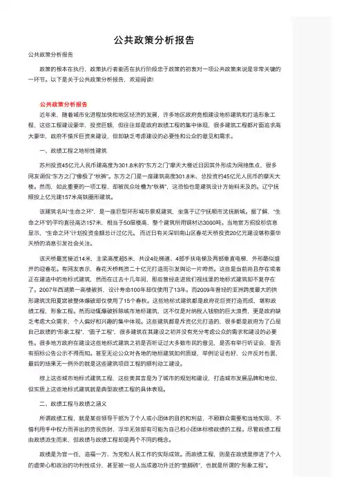 公共政策分析报告