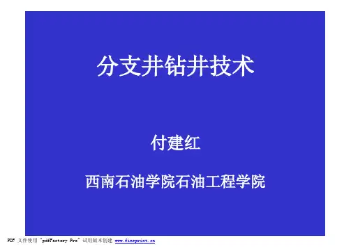 分支井技术