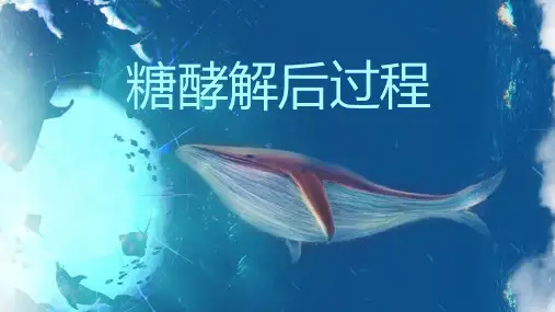 糖酵解后过程