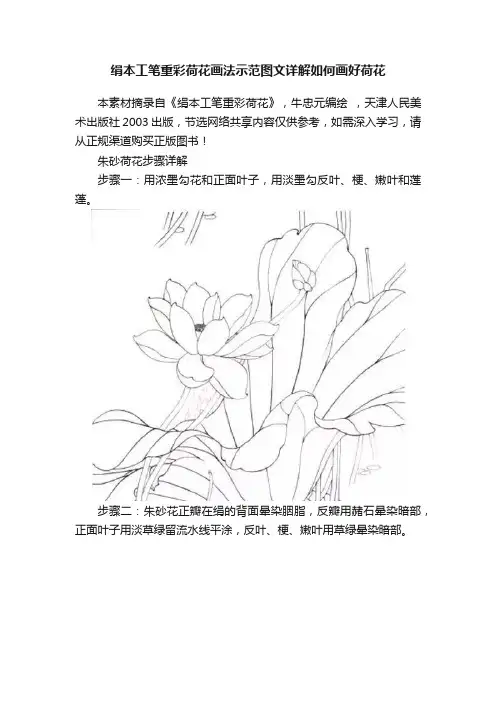 绢本工笔重彩荷花画法示范图文详解如何画好荷花