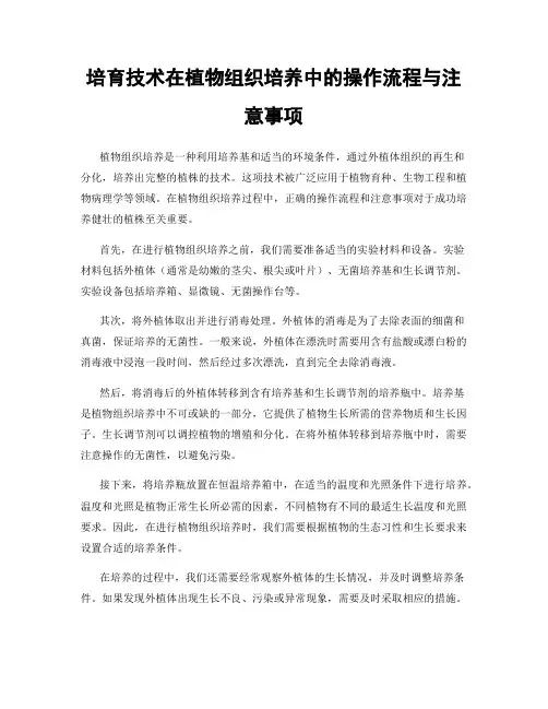 培育技术在植物组织培养中的操作流程与注意事项