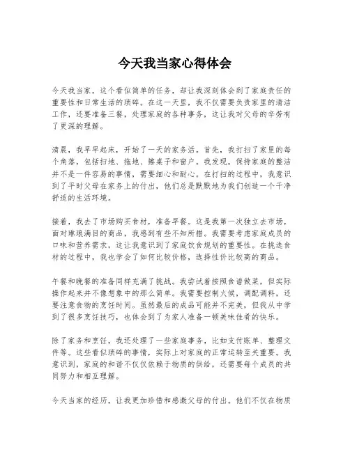 今天我当家心得体会