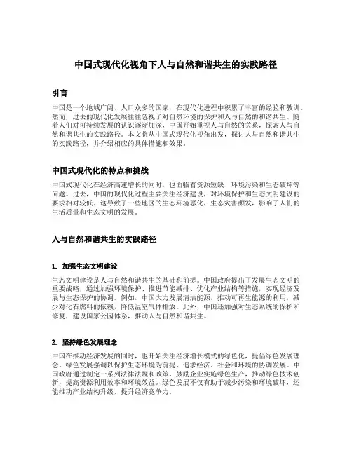 中国式现代化视角下人与自然和谐共生的实践路径
