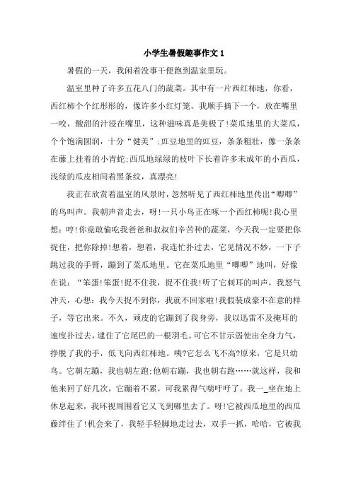 小学生暑假趣事作文 5篇 