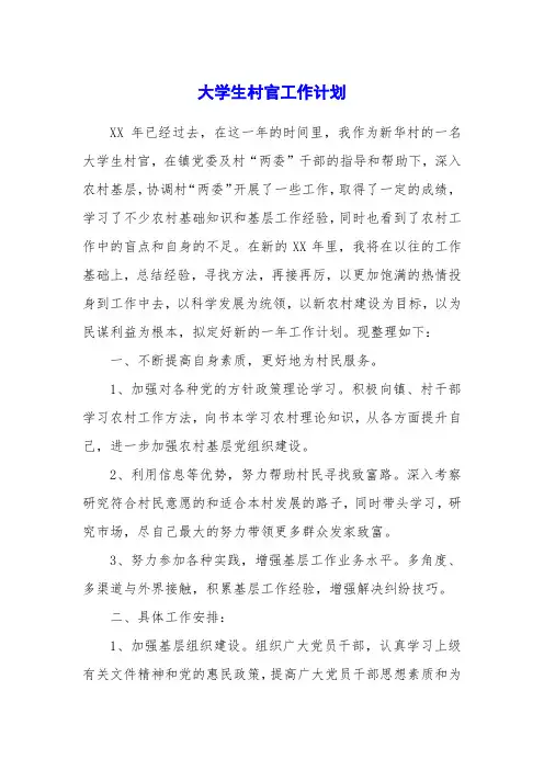 大学生村官工作计划