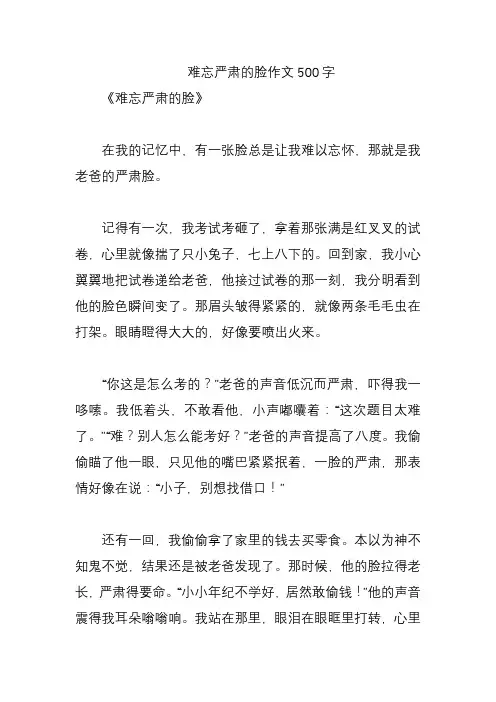 难忘严肃的脸作文500字
