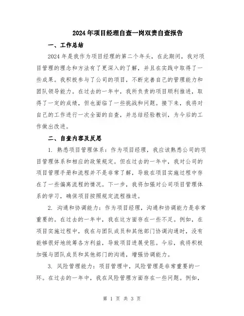 2024年项目经理自查一岗双责自查报告