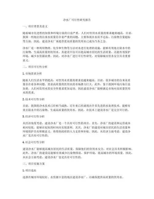 净水厂可行性研究报告