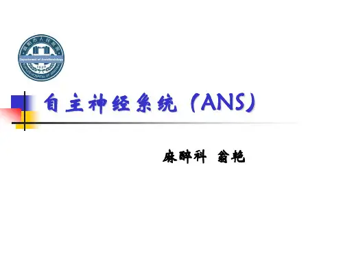 自主神经系统
