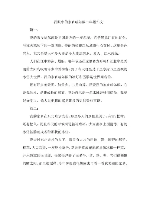 我眼中的家乡哈尔滨二年级作文