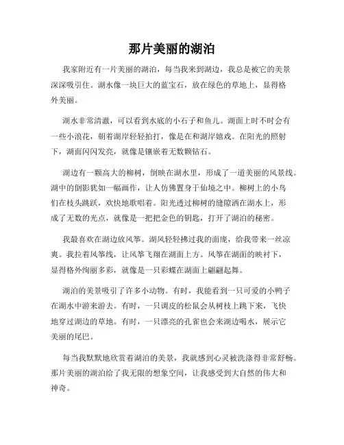 小学三年级作文这儿真美范文那片美丽的湖泊