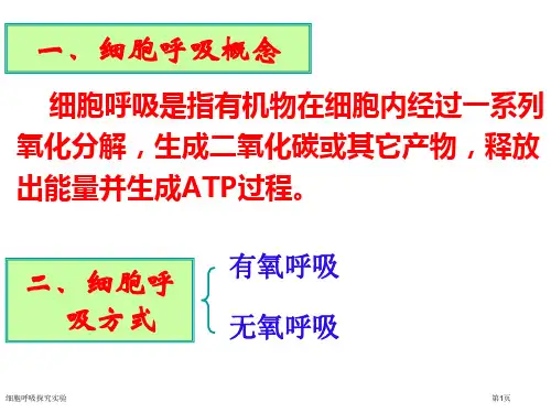 细胞呼吸探究实验