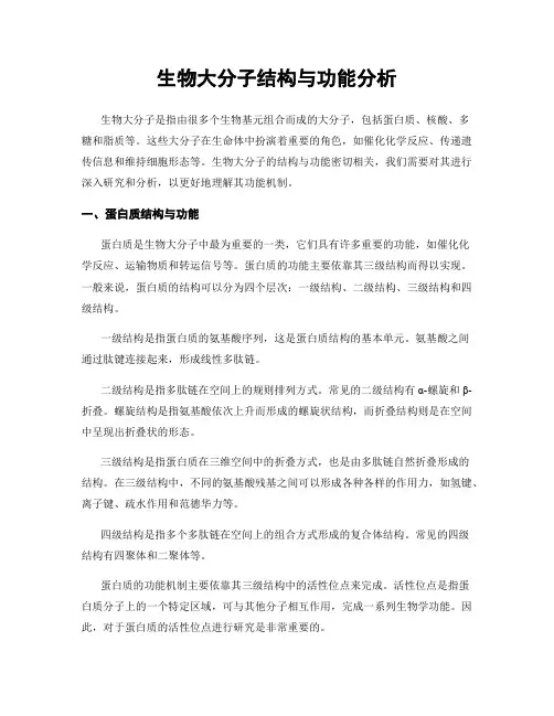 生物大分子结构与功能分析