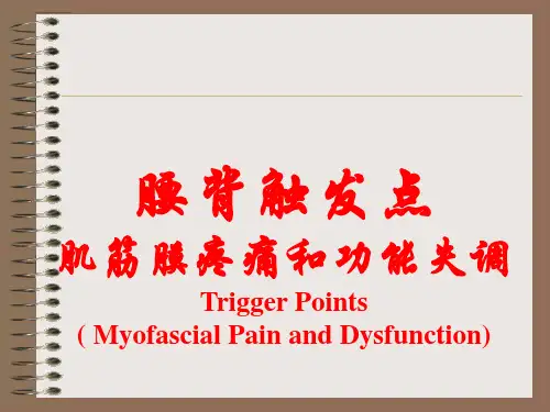 最新 腰背肌筋膜触发点治疗讲稿