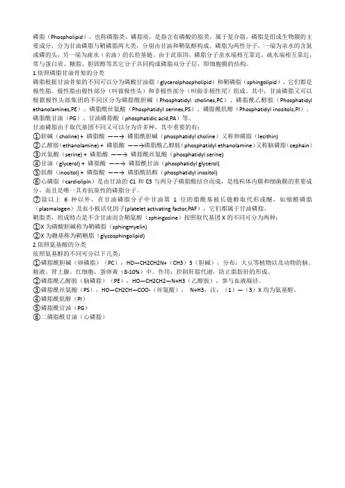 磷脂的分类