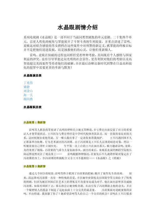 电视剧水晶眼剧情介绍