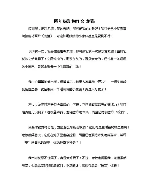 四年级动物作文 龙猫