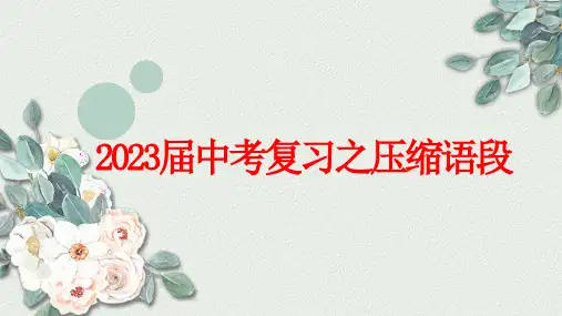 2023年中考语文二轮复习《压缩语段》课件(共28张PPT)