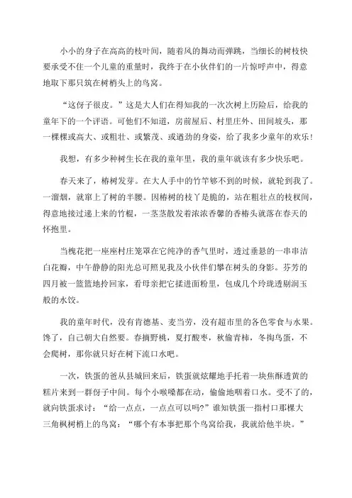 《攀在树梢上的童年》阅读答案