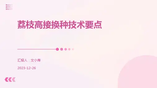 荔枝高接换种技术要点