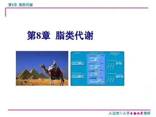 生物化学8-脂代谢