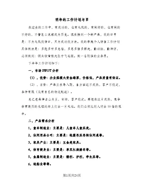 2024年明年的工作计划与目（6篇）