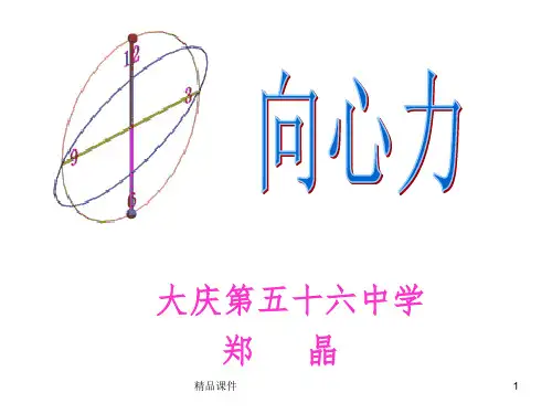 高中物理《向心力》1ppt课件