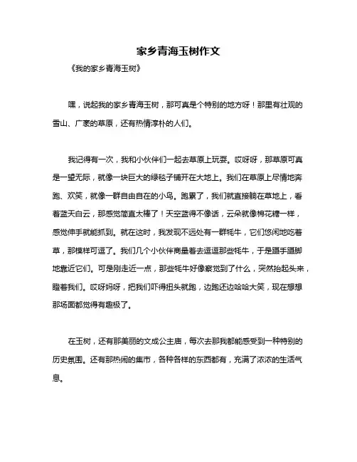 家乡青海玉树作文