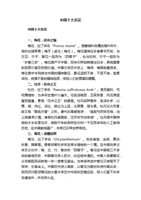 中国十大名花