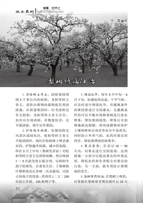 梨树锈病防治