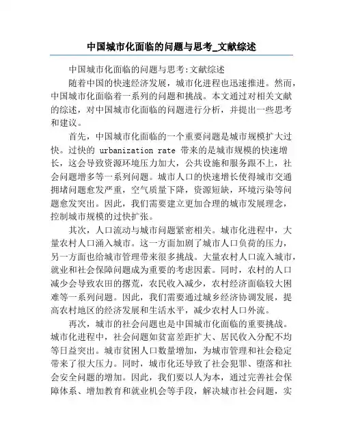中国城市化面临的问题与思考_文献综述