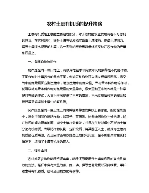 农村土壤有机质的提升策略