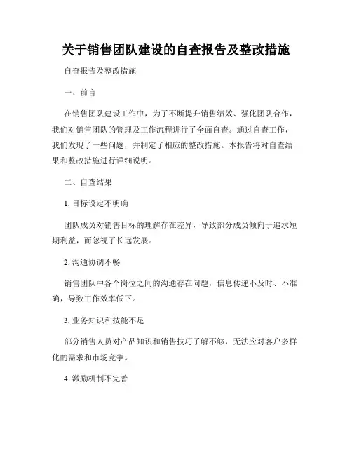 关于销售团队建设的自查报告及整改措施