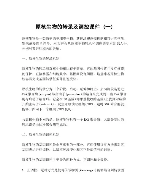 原核生物的转录及调控课件 (一)