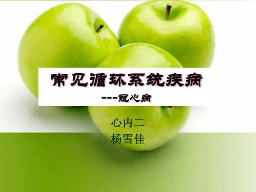 常见循环系统疾病2