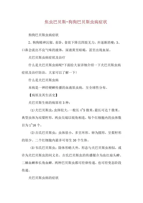 焦虫巴贝斯-狗狗巴贝斯虫病症状