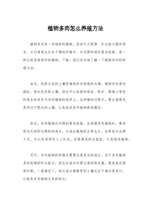 植物多肉怎么养殖方法